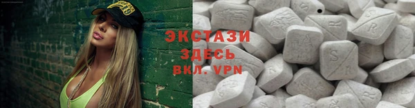 стаф Богданович