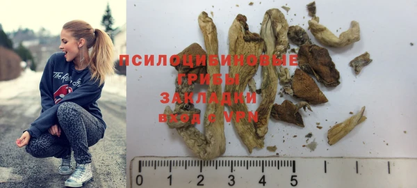 стаф Богданович
